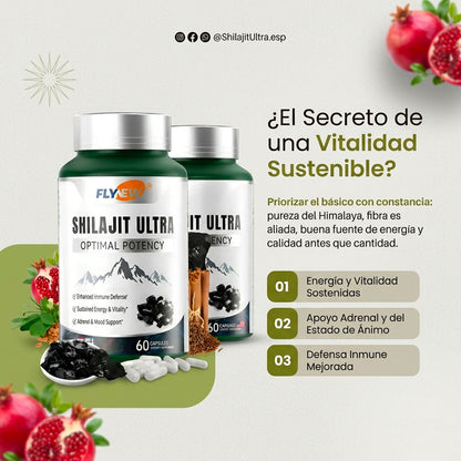 SHILAJIT ULTRA 60 – ENERGÍA, VITALIDAD Y POTENCIA MASCULINA | ENVÍO GRATIS 🇬🇹